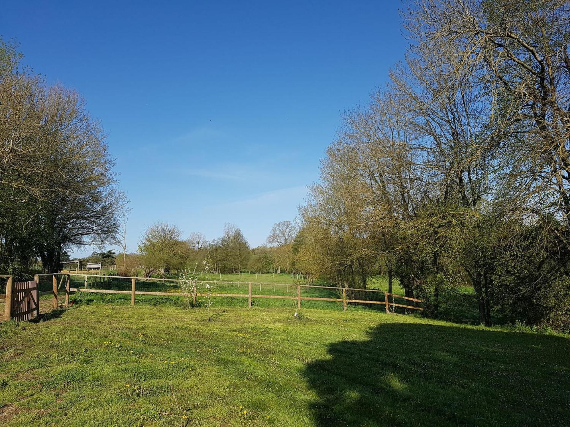 Domaine Du Moulin Neuf Aux Portes De Beauval Nouans-les-Fontaines Exterior photo